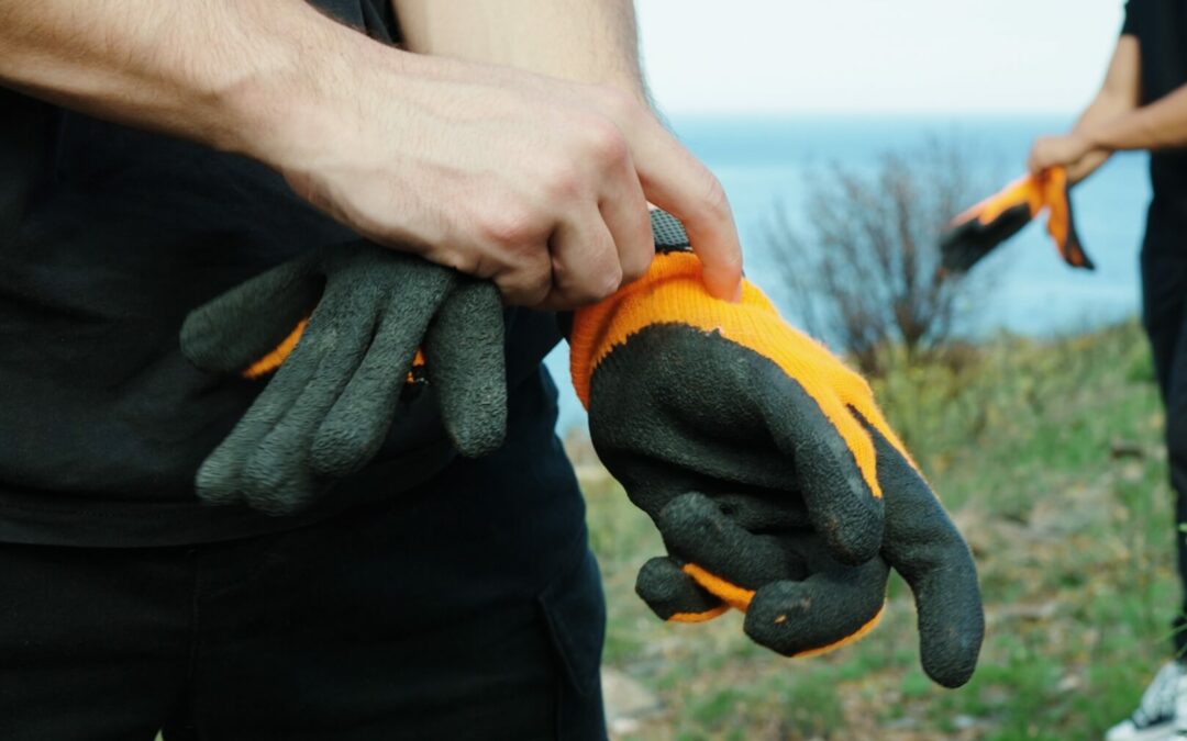 Bonjour tout le monde !